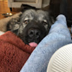 Meet your Posher, Ella